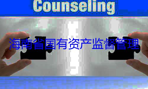 理委员会党资产监督管有福接受审海南省国有委副书记王查调查